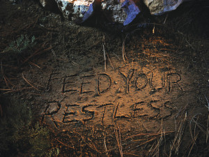 BMW: Feed Your Restless