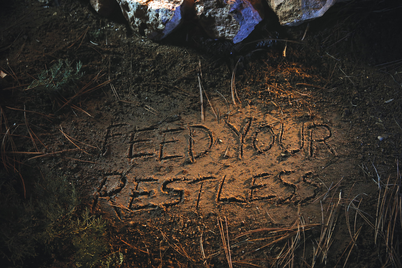 BMW: Feed Your Restless